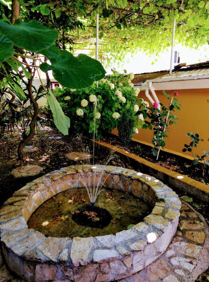 Apartment Exotic Garden モスタル エクステリア 写真